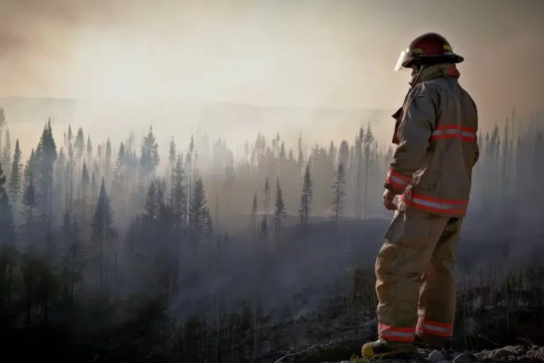 mental health | how do i improve my mental health resilience as a first responder.jpeg